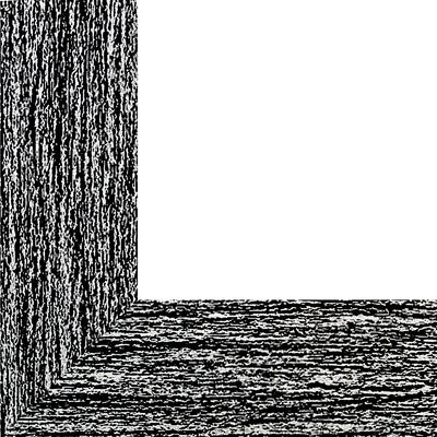 Rama foto Leon negru 10x15