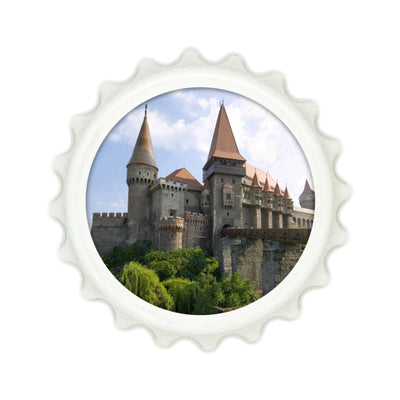 Set insigna cu magnet + desfacator