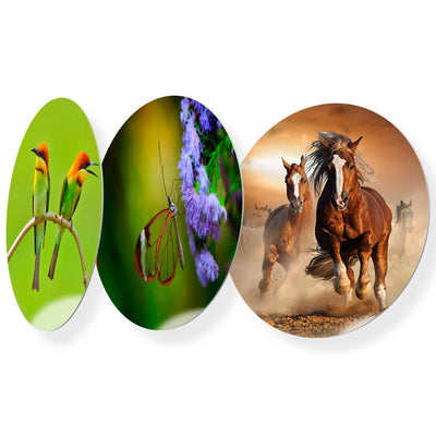 Placa aluminiu sublimabila Ø 8 cm AL8CPA - Green Print