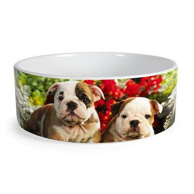 Bol ceramica pentru caine sublimabil B4D - Green Print