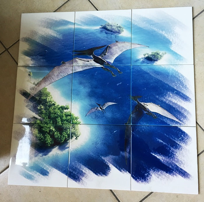 Faianta sublimabila 20x10
