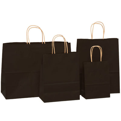 Sacosa kraft neagra 32x40 BO7540S102 - Green Print