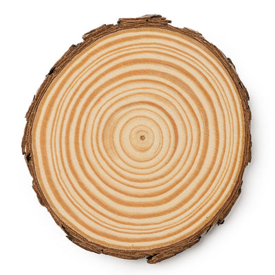 Set 4 felii de lemn in cutie - Ø 10cm x 1cm grosime