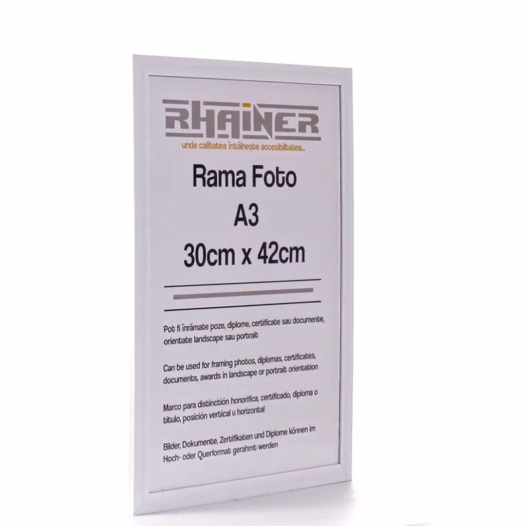 Rama foto Leon alb texturat A3
