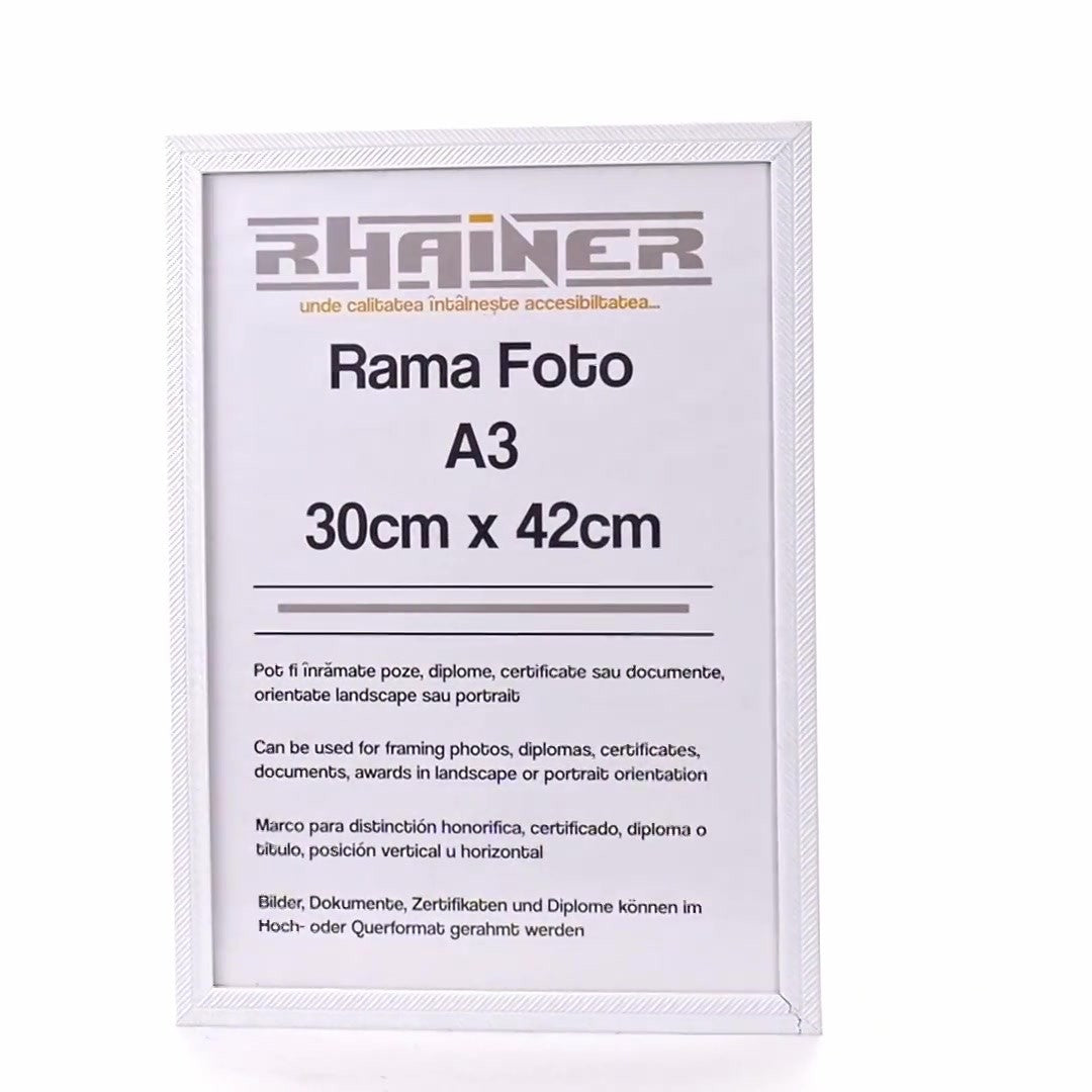 Rama foto Leon alb texturat A3