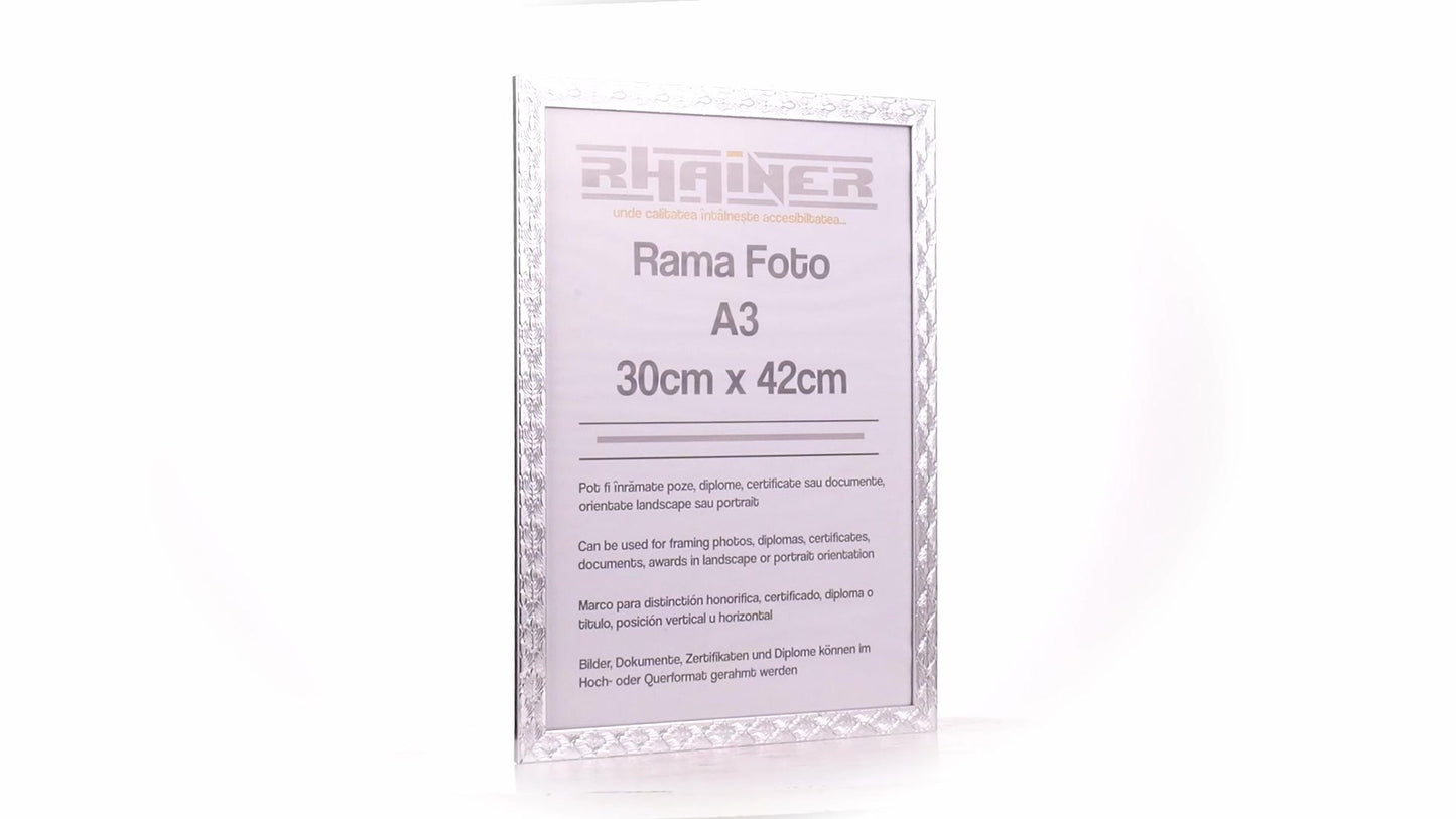 Rama foto Leon argintiu texturat A3