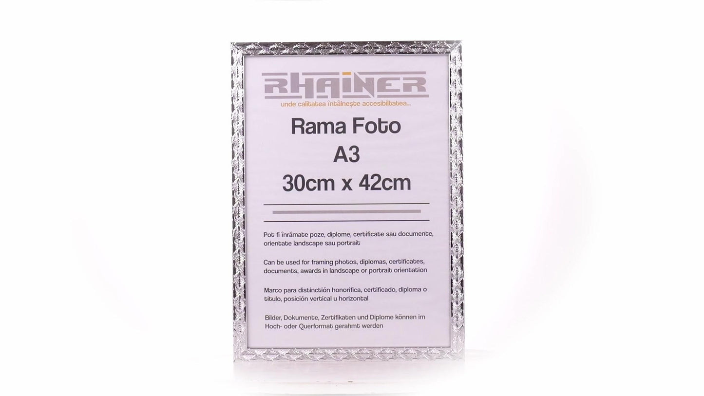 Rama foto Leon argintiu texturat A3