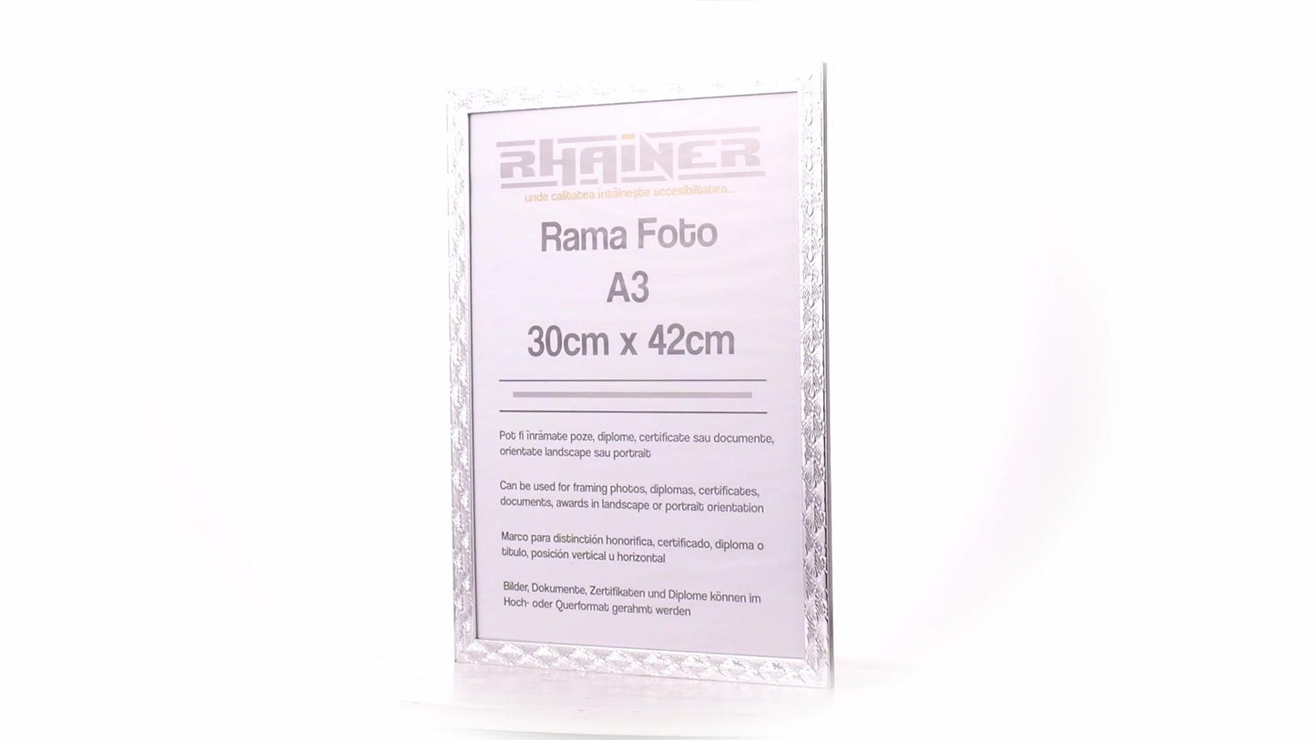 Rama foto Leon argintiu texturat A3