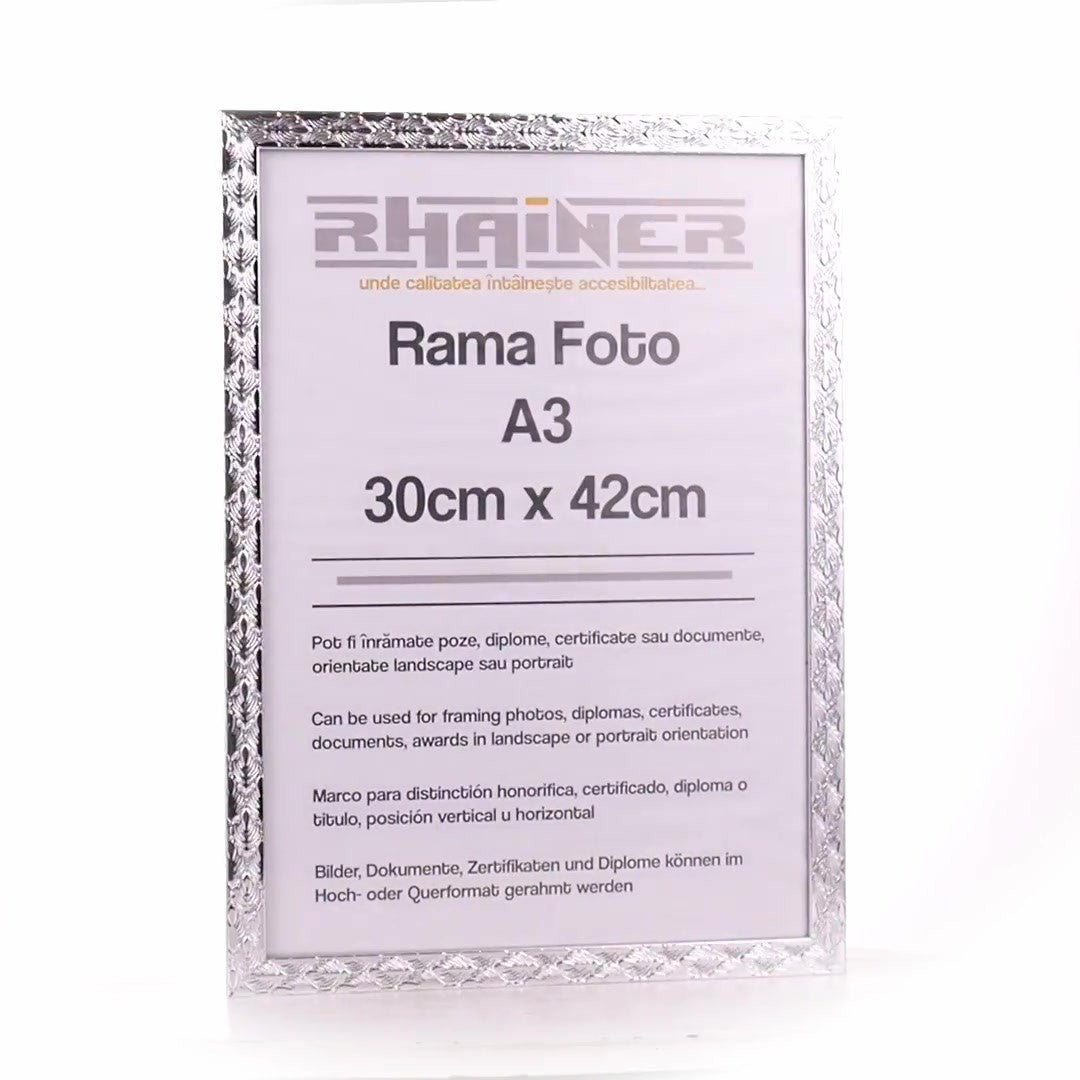 Rama foto Leon argintiu texturat A3