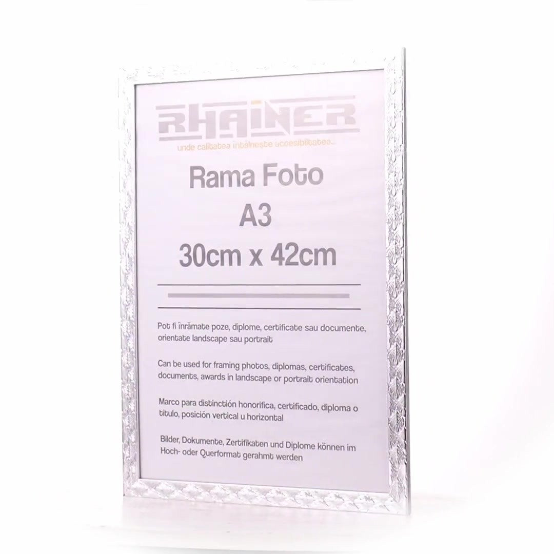 Rama foto Leon argintiu texturat A3