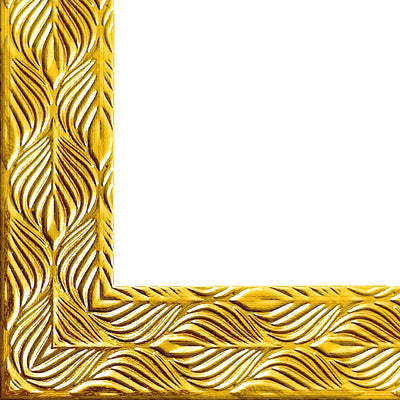 Rama foto Leon auriu texturat 10x15