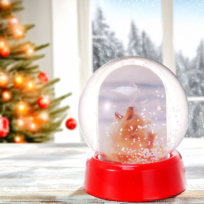 Glob foto Sfera cu zapada GL523108 - Green Print