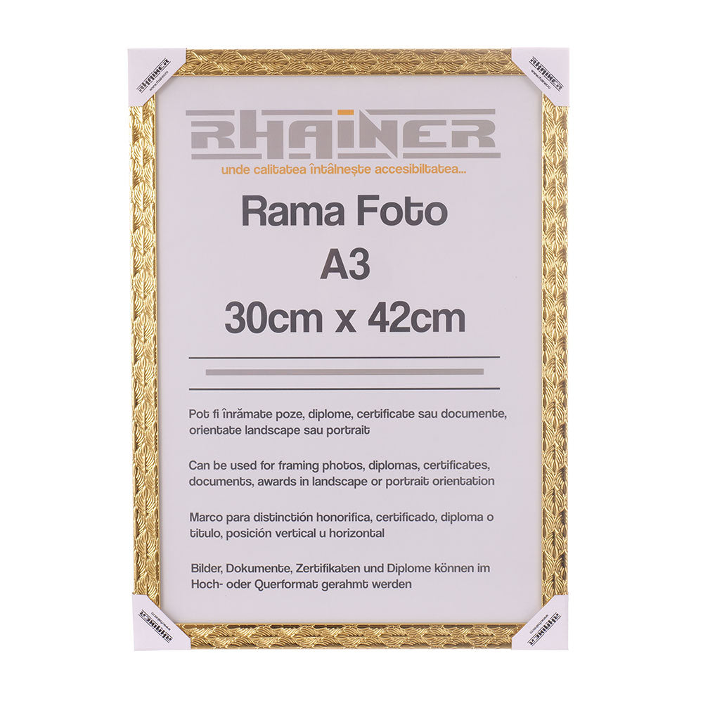 Rama foto Leon auriu texturat A3