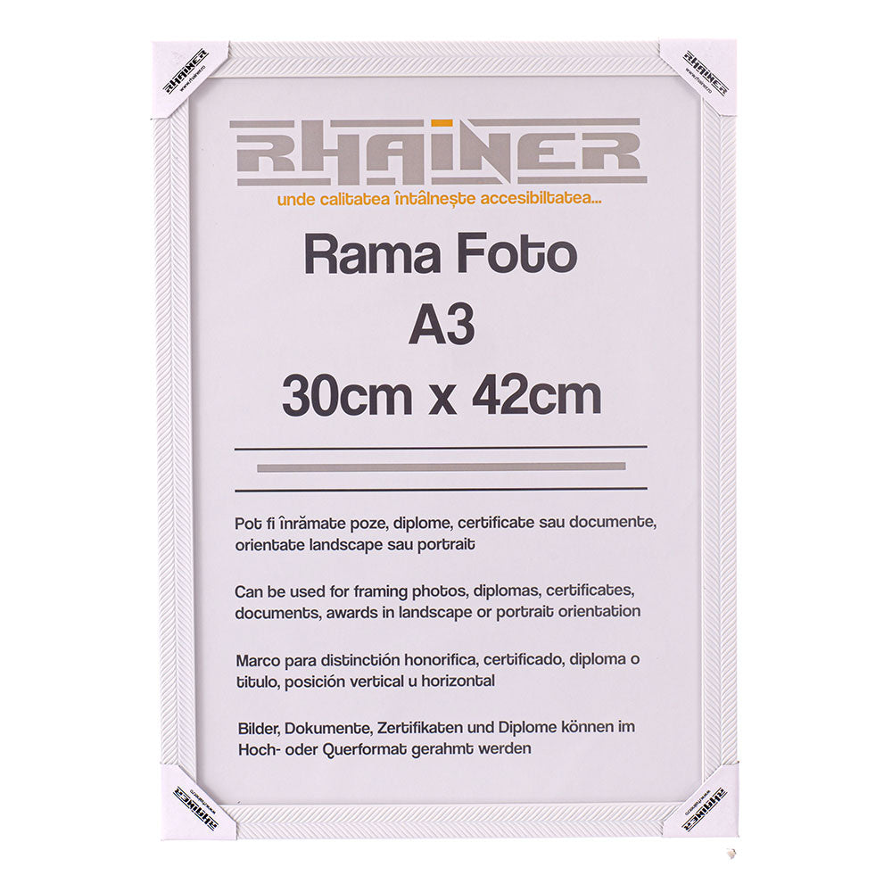Rama foto Leon alb texturat A3