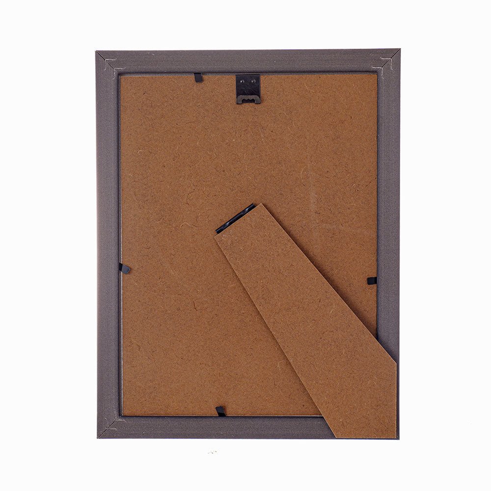 Rama foto Leon argintiu texturat A5 FP08622A5 - Green Print