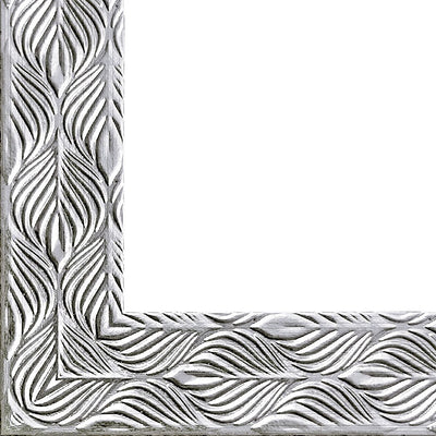 Rama foto Leon argintiu texturat A4 FP08622A4 - Green Print