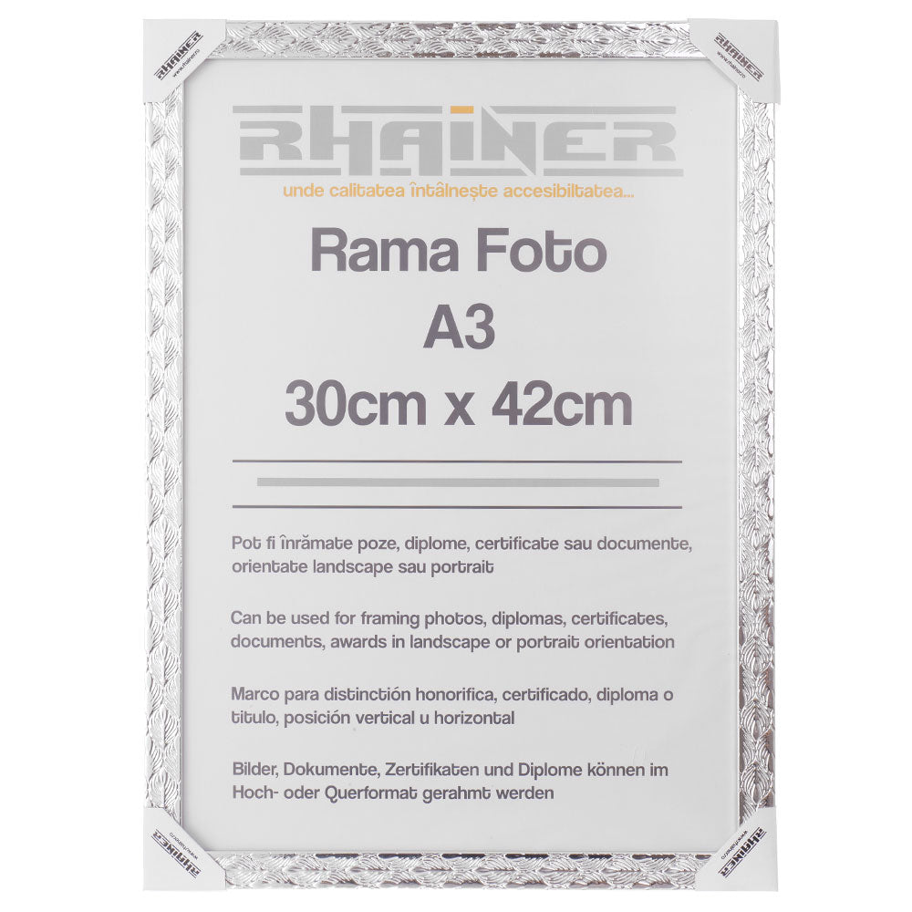 Rama foto Leon argintiu texturat A3