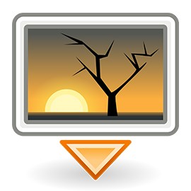 Insertie Foto