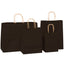 Sacosa kraft neagra 22x23