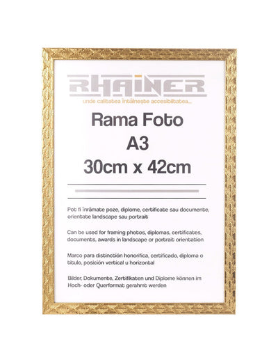 Rama foto Leon auriu texturat A3