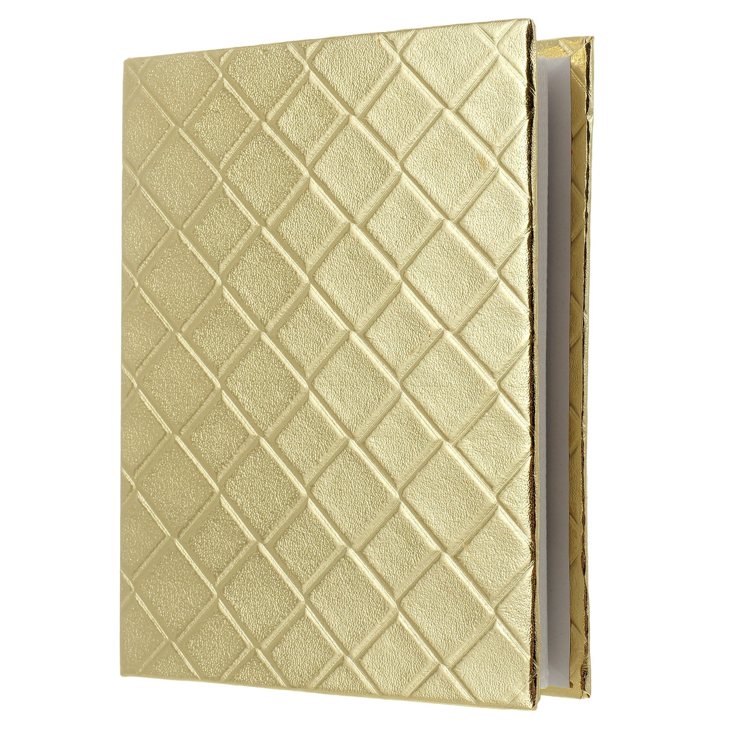 ARGENTO photo album 100 photos 10x15