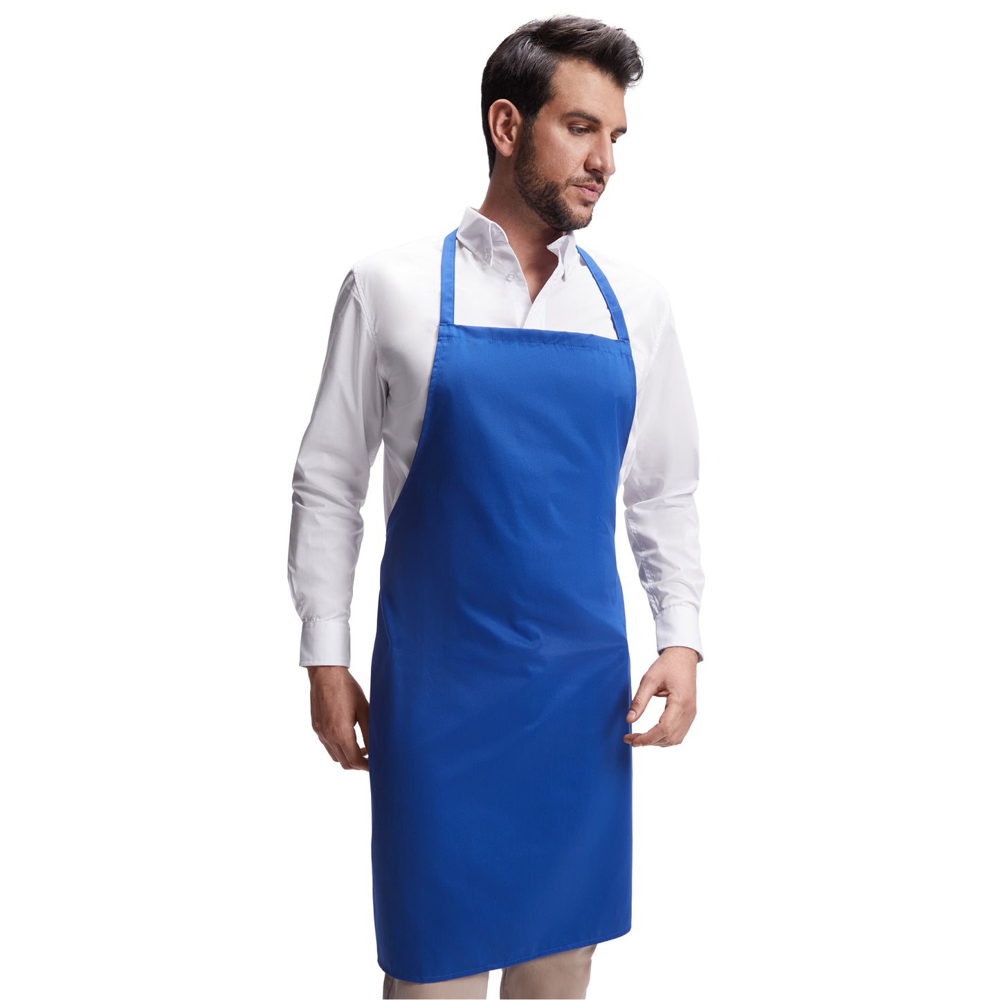 Син сорт Roly RAMSAY